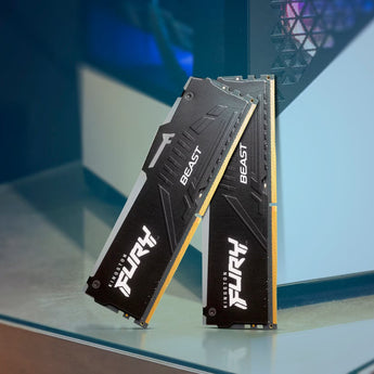 Computer Memory (RAM)