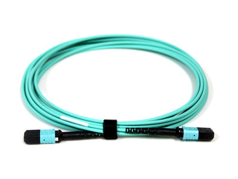 Acconet 12-core MPO Female to MPO Female 5-meter patch lead, used for connecting fiber optic equipment.
