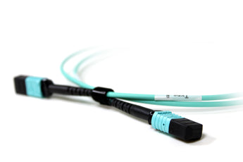 Acconet 12-core MPO Female to MPO Female 1M fibre optic patch lead. Provides a secure, high-density connection. AC-FIB-PL-MPO-1M.