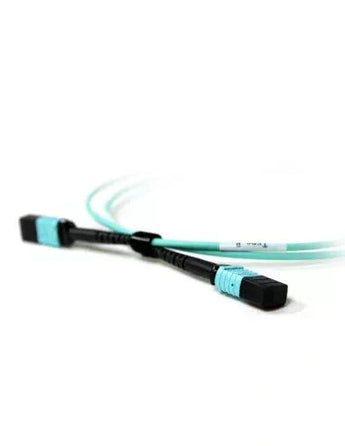 Acconet 12-core MPO Female to MPO Female 2M fibre patch lead for high-density data transmission.