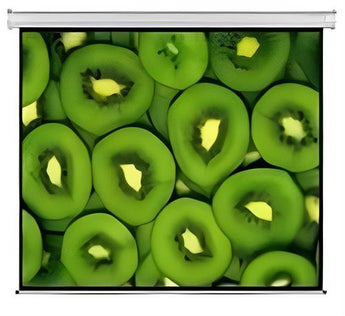 Esquire Electric Projector Screen 300 X 169