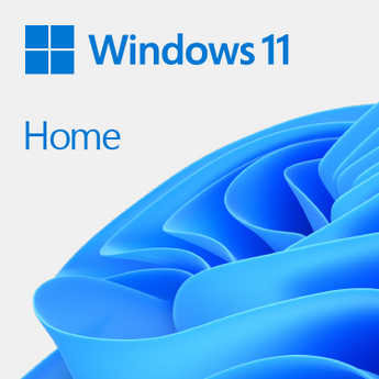Microsoft Windows 11 Home 64-bit DSP DVD