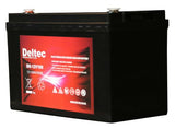 Deltec 12V 100Ah AGM battery, 100Ah capacity, providing deep cycle power for UPS, inverter, or solar applications. 20cm width.