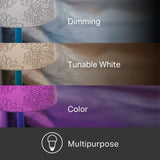 TP-Link KL130 A19 multicolour smart LED bulb; dims and changes color via WiFi, compatible with Alexa and Google Assistant.