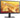 DELL 22 inch SE2225H FHD Monitor