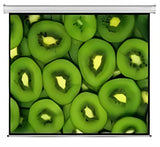 Esquire Electric Projector Screen 300 X 169