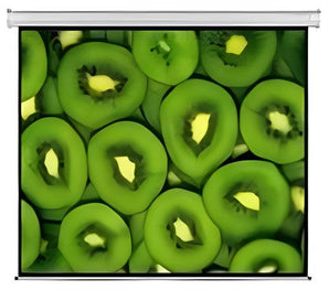 Esquire Electric Projector Screen 300 X 169