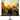 Esquire Tripod Projector Screen