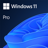 Microsoft Windows 11 Professional DVD comes with