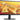 Dell 22 inch SE2225H FHD Monitor