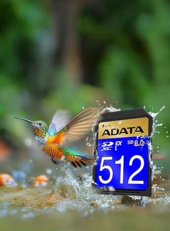 ADATA Premier Extreme 512GB SDXC SD Express Card