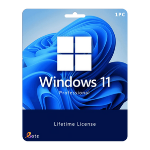 Windows 11 Professional.